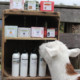Southern Sass goat milk lotion and soap